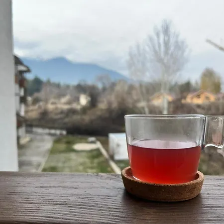 Vesta Boutique Apartament Bansko